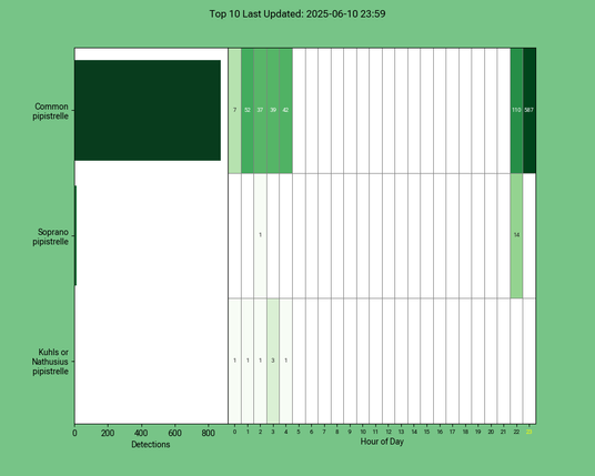 Diagramm der Fledermäuse vom 10.06.2025