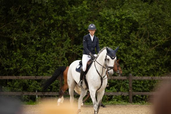 Réiser Päerdsdeeg 2024, l'un des événements équestres les plus prestigieux du Luxembourg ! Une célébration exceptionnelle du sport équestre qui continue de promouvoir l'excellence et la passion pour l'équitation dans notre région. 
https://www.patrick-schanen.org/reiser-paerdsdeeg-2024

#ReiserPaerdsdeeg #Luxemburg #SportEquestre #Jumping #EquestrianLife #ChampionsEquestres #LuxembourgSport #ShowJumping #HorsesOfLuxembourg #RoeserLuxembourg #EventsLuxembourg #SportLife #EquestrianSport #HorseCompetition #LuxembourgEvents
