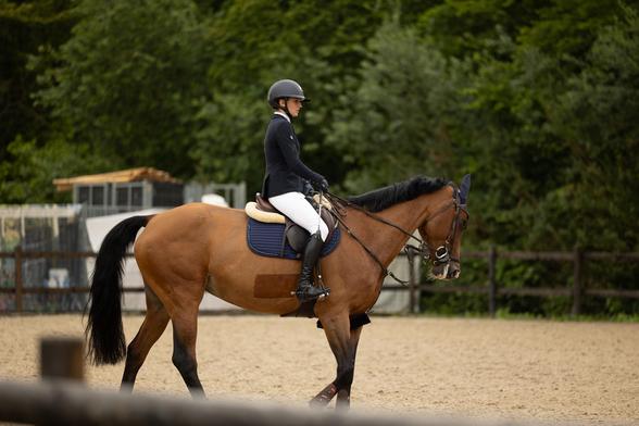 Réiser Päerdsdeeg 2024, l'un des événements équestres les plus prestigieux du Luxembourg ! Une célébration exceptionnelle du sport équestre qui continue de promouvoir l'excellence et la passion pour l'équitation dans notre région. 
https://www.patrick-schanen.org/reiser-paerdsdeeg-2024

#ReiserPaerdsdeeg #Luxemburg #SportEquestre #Jumping #EquestrianLife #ChampionsEquestres #LuxembourgSport #ShowJumping #HorsesOfLuxembourg #RoeserLuxembourg #EventsLuxembourg #SportLife #EquestrianSport #HorseCompetition #LuxembourgEvents
