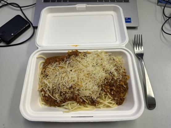 Das Foto zeigt eine Portion Spaghetti Bolognese.