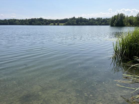 Wasserfläche des Opfinger Sees, weit und leer