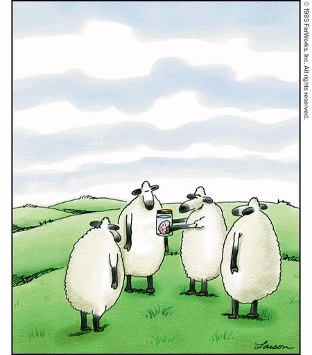 Danny shows off his sheep’s brain.