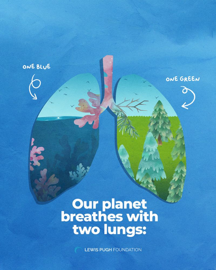 We must protect both, blue and green. About half of Earth’s oxygen comes from the ocean