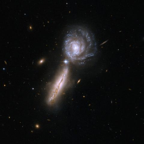 A pair of spiral galaxies. The upper galaxy is seen face-on. It has a bright center and short bar structure that transitions into a series of loosely-wound spiral arms, looking something like a cinnamon roll. The arms are dotted with blue star clusters and crossed by darker dust filaments. The lower galaxy is seen edge on. It has a somewhat puffy disk, seen as a wide, almost vertical, yellow line. Running down the middle is a dark dust lane with a few blue star clusters peaking out. In the middle of the frame, where the two galaxies appear to touch, is a bright foreground star with four diffraction spikes.  Other distant galaxies and stars fill the black background of space.