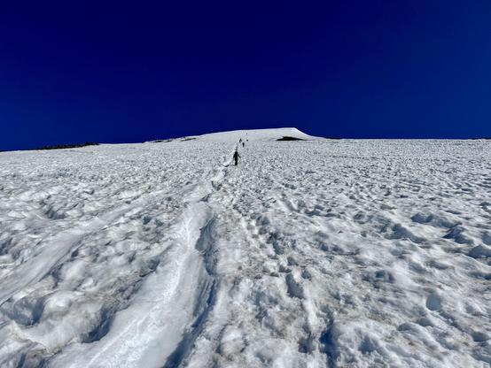 A view looking up a seemingly endless snowy ascent as mountaineers use trekking poles, ice axes, micro spikes, and/or crampons to trudge toward a false summit. Icy glissade chutes run from top to bottom. Dark blue skies.