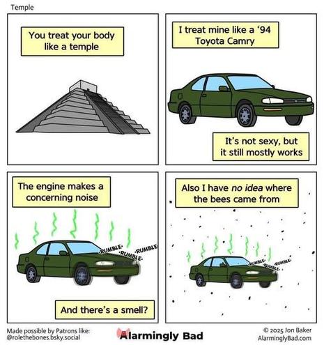 1 - you treat your body like a temple [pic of pyramid]
2 - i treat mine like a '94 camry [pic of 94 camry] it's not sexy, but it still mostly works
3 - the engine makes a concerning noise [pic of car with odor coming out of it and rumble rumble noises] and there's a smell?
4 - also i have no ideas where the bees came from [pic of car with odor coming out of it and rumble rumble noises - and surrounded by bees]

AlarminglyBad.com