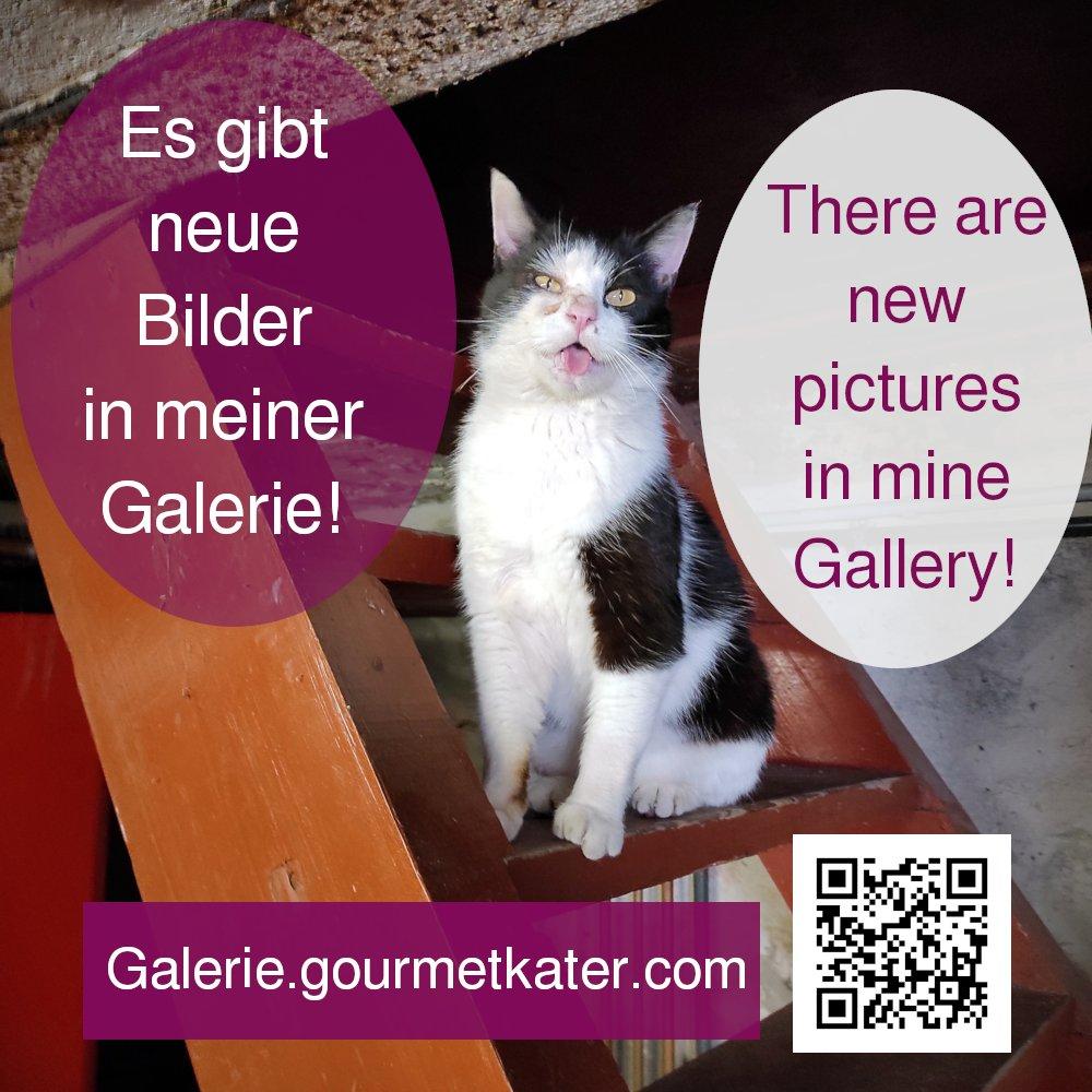 Neue Bilder!