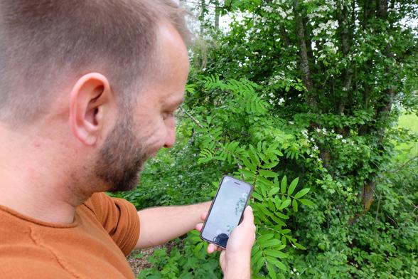 Ein Mann im Profil mit orangenem Pullover zeigt auf einen grünen Busch und hält ein Smartphone in der Hand (Foto: Uni Ulm)