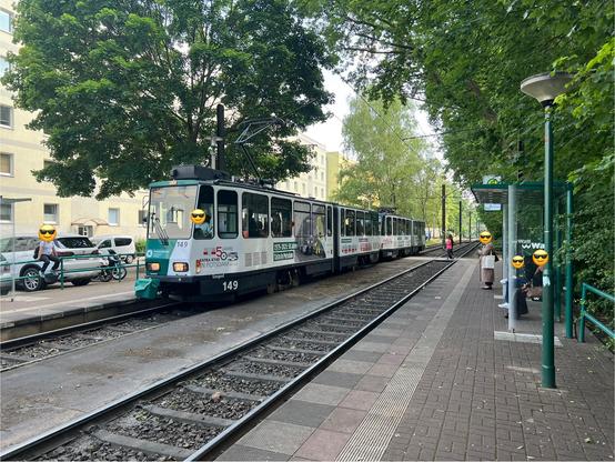 Auf dem Gegengleis fährt Tatra Nr. 149 ein, u.a. mit der Beschriftung „50 Jahre Tatra KT4D in Potsdam“ und „1975-2025: 50 Jahre Tatra in Potsdam“ an der Seite.