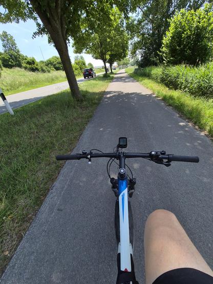 A serene scene depicting a green bicycle parked on a grey road surrounded by lush grass and tall trees. The bicycle, with its green frame and black tires, stands out against the neutral background. The road stretches into the distance, disappearing into the horizon. No people are present in the image, only the solitary bicycle. 