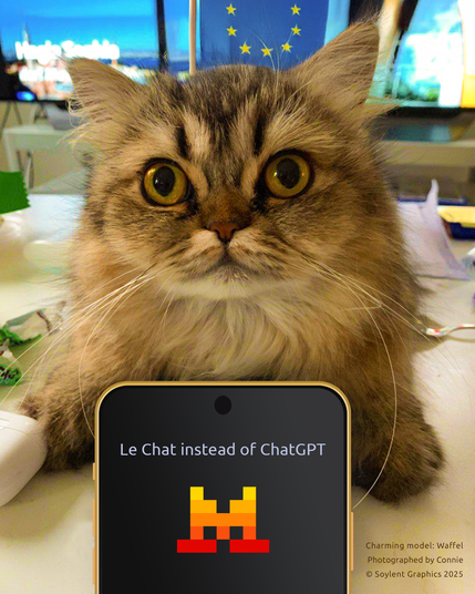 Katze sitzt vor einem Smartphone, auf dem sich das Logo des Chatbots Le Chat von Mistral befindet.