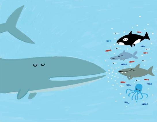 Une baleine chante pour un orque, un requin, un poulpe, un dauphin et des poissons. Tous écoutent avec receuillement