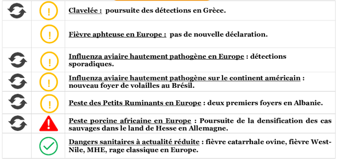 Le BHVSI-SA rapporte et met en perspective des signaux et des alertes en santé animale au niveau national et international.