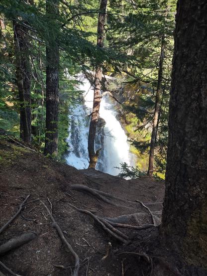 A waterfall seen from above through tall trees. Most water is gudhing down the main channel, but some is falling from the sides over mossy rock outcroppings.