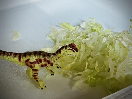 A green Dilophosaurus with brown spots stands before a pile of green shredded lettuce atop a white container. They don't seem very amused.