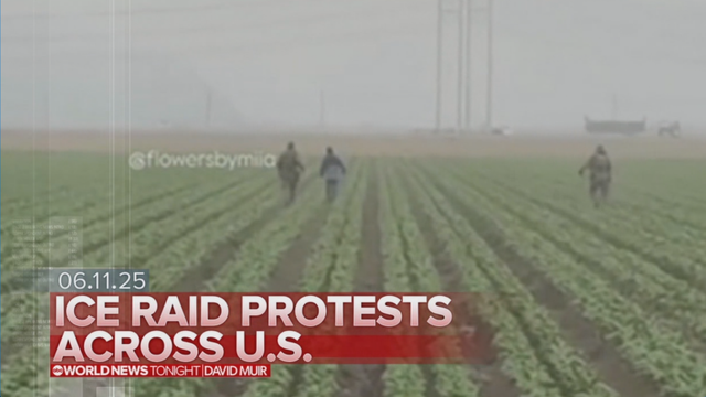 ICE Officers chasing migrant produce pickers through Strawberry fields.