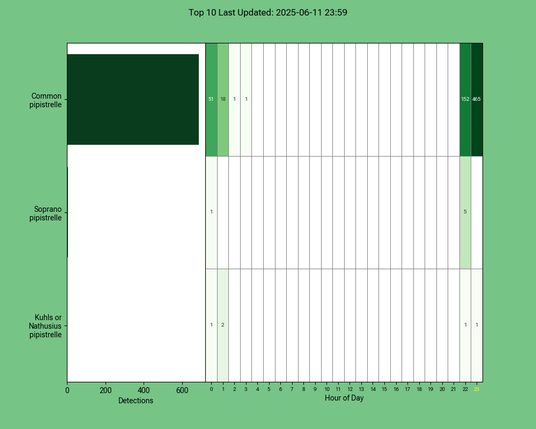 Diagramm der Fledermäuse vom 11.06.2025