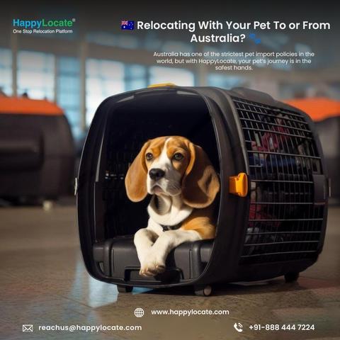 https://www.happylocate.com/international-pet-relocation-services/Australia