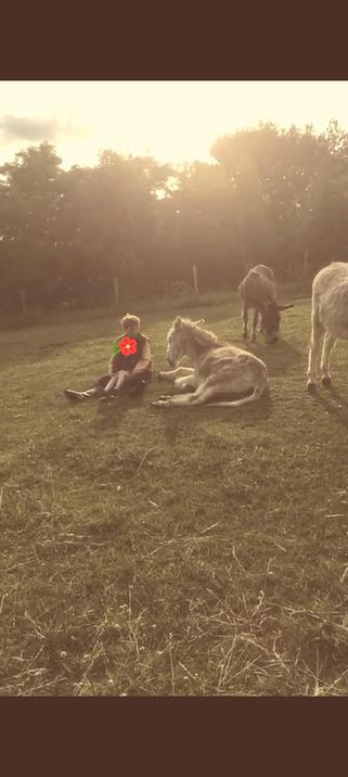 Je suis assise à côté de Gourmand allongé une petite fille est bien calée avec moi (c'est une capture d'écran d'une vidéo, je l'ai passée en filtre nostalgie pour qu'on voit mieux)
