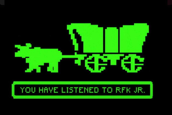 Oregon Trail death screen, except it says "You have listened to RFK Jr."