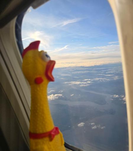 Tried joining the Mile High Club… but all they heard was a loud SQUAAAAK! ✈️🍆🐔😱