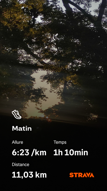 Capture d’écran Strava sur fond de forêt sombre au lever du jour. Les feuilles d’arbres forment une voûte dense, à travers laquelle passent quelques rayons dorés. En bas de l’image, les données de la course s’affichent : 11,03 km en 1h10, allure moyenne de 6:23/km. L’ambiance visuelle est feutrée et calme, entre ombre fraîche et lumière naissante