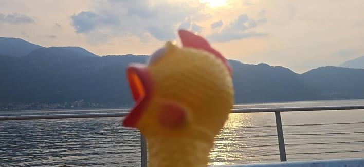 Chicken? By the lake? In Italy? Iconic. 🐔😱