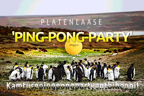 Pinguin-Meeting am, aber unverschneitem, kalten Polar.
Hinweis auf die "Ping-Pong-Party" in Platenlaase,