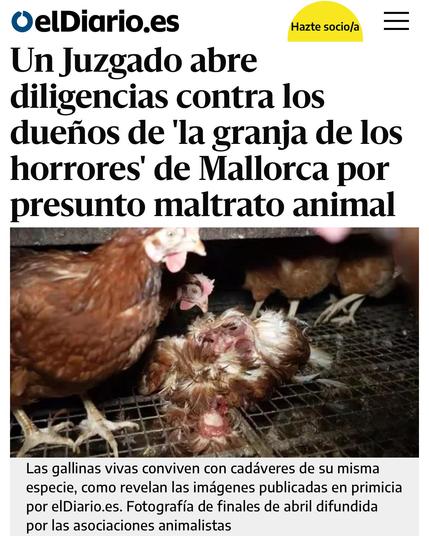 Captura de pantalla de una noticia de elDiario.es con el titular "Un juzgado abre diligencias contra los dueños de 'la granja de los horrores' de Mallorca por presunto maltrato animal". Debajo se muestra una imagen donde se ve lo que indica el pie de foto, que las gallinas vivas conviven con cadáveres de su misma especie, como revelan las imágenes publicadas en primicia por elDiario.es. Fotografía de finales de abril difundida por las asociaciones animalistas, dice.