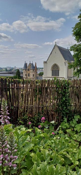 Jardin du château d'Angers - Maine-et-Loire