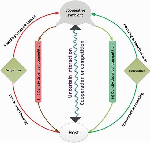 Different spatial states of cooperative symbionts leading to different host–symbiont interactions.