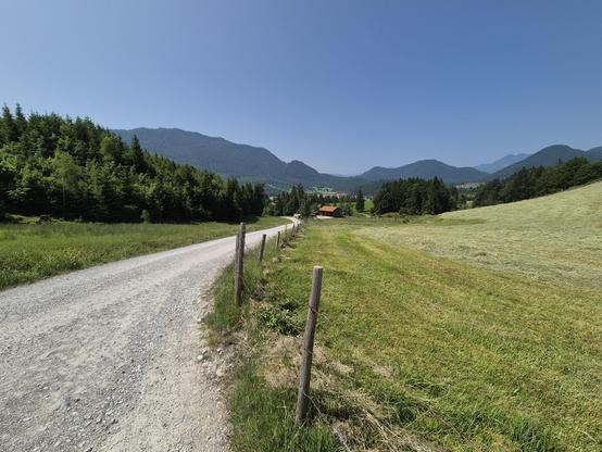 A scenic view of a dirt road cutting through a lush field, bordered by tall trees and with majestic mountains in the background. The sky is a clear blue, adding to the serene and peaceful atmosphere of the landscape. The image captures the essence of the outdoors, with grassy meadows and rolling hills creating a picturesque setting. The composition includes a prominent tree in the foreground, enhancing the sense of depth and perspective. This image evokes a sense of tranquility and natural beau…