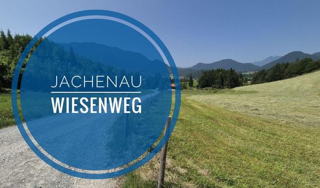 A stunning landscape is depicted in this image, featuring a road winding through lush green grass and trees towards majestic mountains in the background. The sky is a beautiful shade of blue, complementing the overall serene atmosphere of the scene. In the foreground, there is text overlay "Jachenau Wiesenweg"