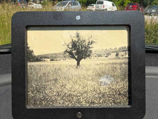A warm-tone 4x5 black and white photo of a landscape with a tree in a drying frame 