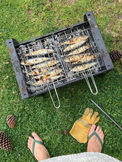 Sardines on hot coals