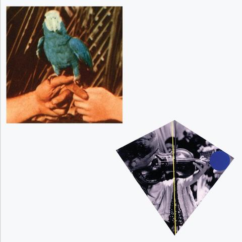An image of the cover of the album 'Are You Serious' by Andrew Bird