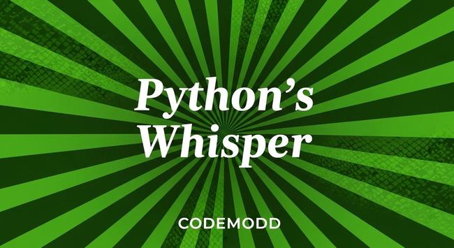Python's Whisper, CODEMODD banner image