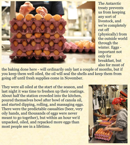 Top picture in the left corner is a giant stack of eggs in cardboard cartons
Picture in lower Wright shows a kitchen setting with eggs being put into cartons

The Antarctic treaty prevents us from keeping any sort of livestock, and we're completely cut off (physically) from the outside world through the winter. Eggs - important not only for breakfast, but also for most of
the baking done here - will ordinarily only last a couple of months, but if you keep them well oiled, the oil will seal the …