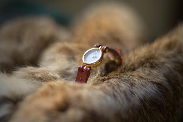 Photo shows a red narrow watch strap attached to the tiny golden watch. 