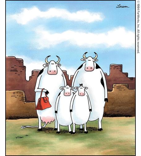 The Holsteins visit the Grand Canyon.