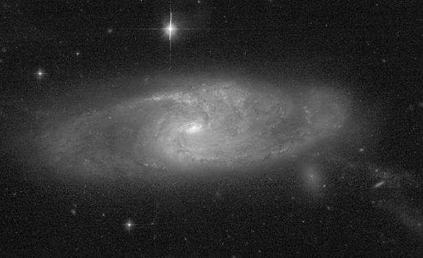 A greyscale image of a face-on spiral galaxy. The faint galaxy has a bright core, a small oval-shaped ring, and two loose spiral arms that emerge from the ring and wind counterclockwise around the galaxy. The arms are crossed by dark dust lanes and  dotted with bright star clusters. At the bottom right edge of the galaxy is a smaller elliptical galaxy, seen as a bright dot surrounded by an oval-shaped haze. Faint, hazy, lines of stars appear from the point where the two galaxies overlap and stream off diagonally, down and to the right. The image has a noticeable amount of detector noise which has not been removed.