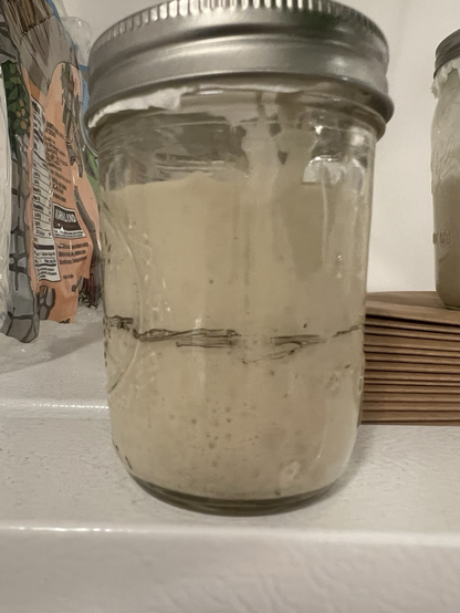 Picture of a Mason Jar filled with sourdough, a black line in marker in the middle showing that the starter has doubled above the line, making it ready for baking with. 