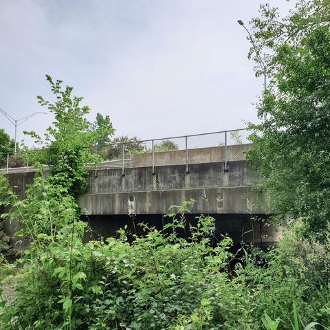 Concrete bridge over a river surrounded by lush vegetation