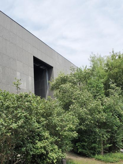 Oppressive brutalist building entrance with large bushes obscuring it