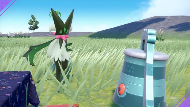A screenshot of Pokemon Violet on the Nintendo Switch 2. The image is of two Pokemon in a sunny field next to a picnic basket. On the left is a Meowscarada doing a coy pose and on the right is a Bronzong floating with a blank expression.