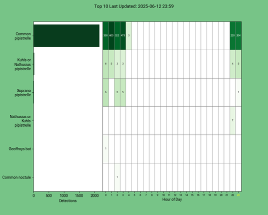 Diagramm der Fledermäuse vom 12.06.2025