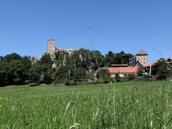 Simple photography of a castle ruin over a village and some trees