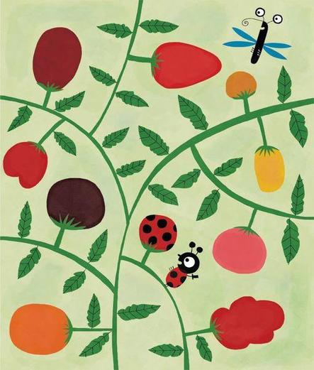 Des insectes au milieu de tomates de toutes les couleurs