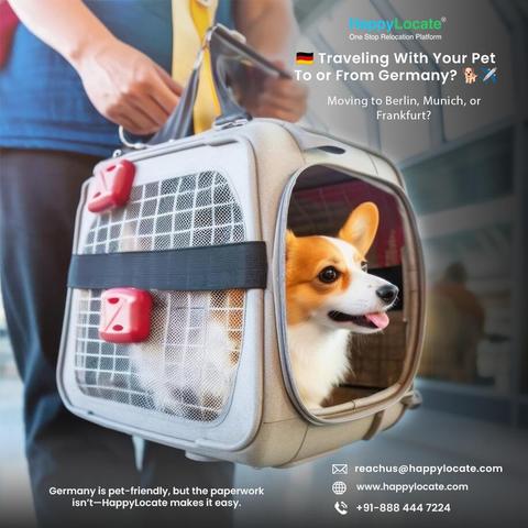 "Pet Relocation from Mumbai to Germany
How to Take Pets from Delhi to Germany
Pet Travel Services from Bangalore to Germany
Pet Relocation Companies in Chennai for Germany
Pet relocation India to Germany"
