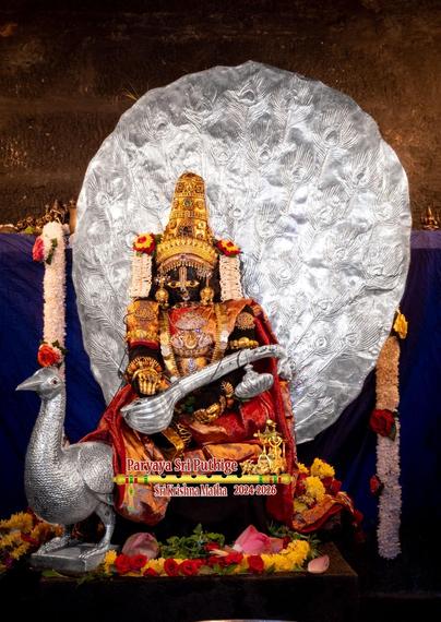 Idol of Hindu deity Krishna in red seated on a silver peacock with left leg folded and touching the right inner thigh, holding a silver stringed instrument "veena" on lap, wide open peacock feathers (in silver). Krishna wears a gold crown and several gold ornaments. Red and yellow flowers as well as green holy basil leaves on the floor in front of Krishna. 

Blue cloth background. Thick white strings of flowers hang down on either side of peacock feathers.